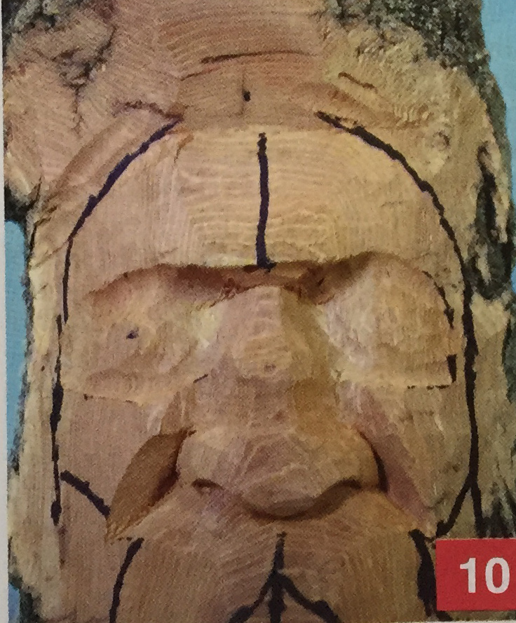 Carving Bark Woodspirit Step 10