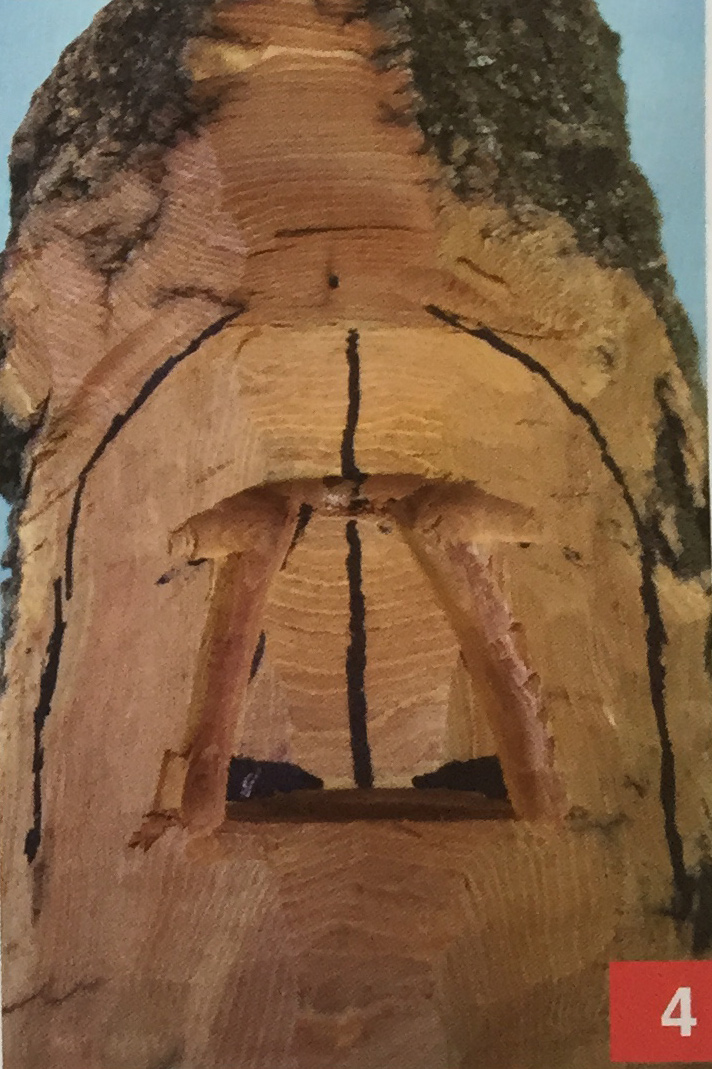 Carving Bark Woodspirit Step 4